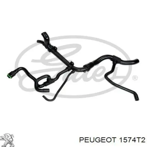 1574T2 Peugeot/Citroen Juego de tuberías de combustible