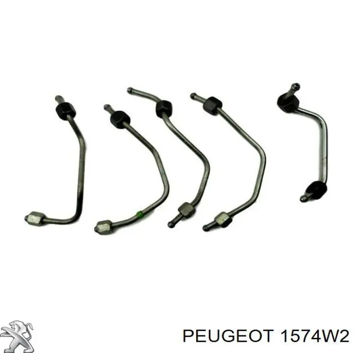 Tubo de combustible del filtro a la bomba Peugeot/Citroen 1574W2