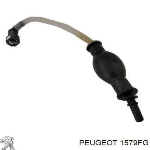1579FG Peugeot/Citroen tubo de combustible, de depósito al filtro