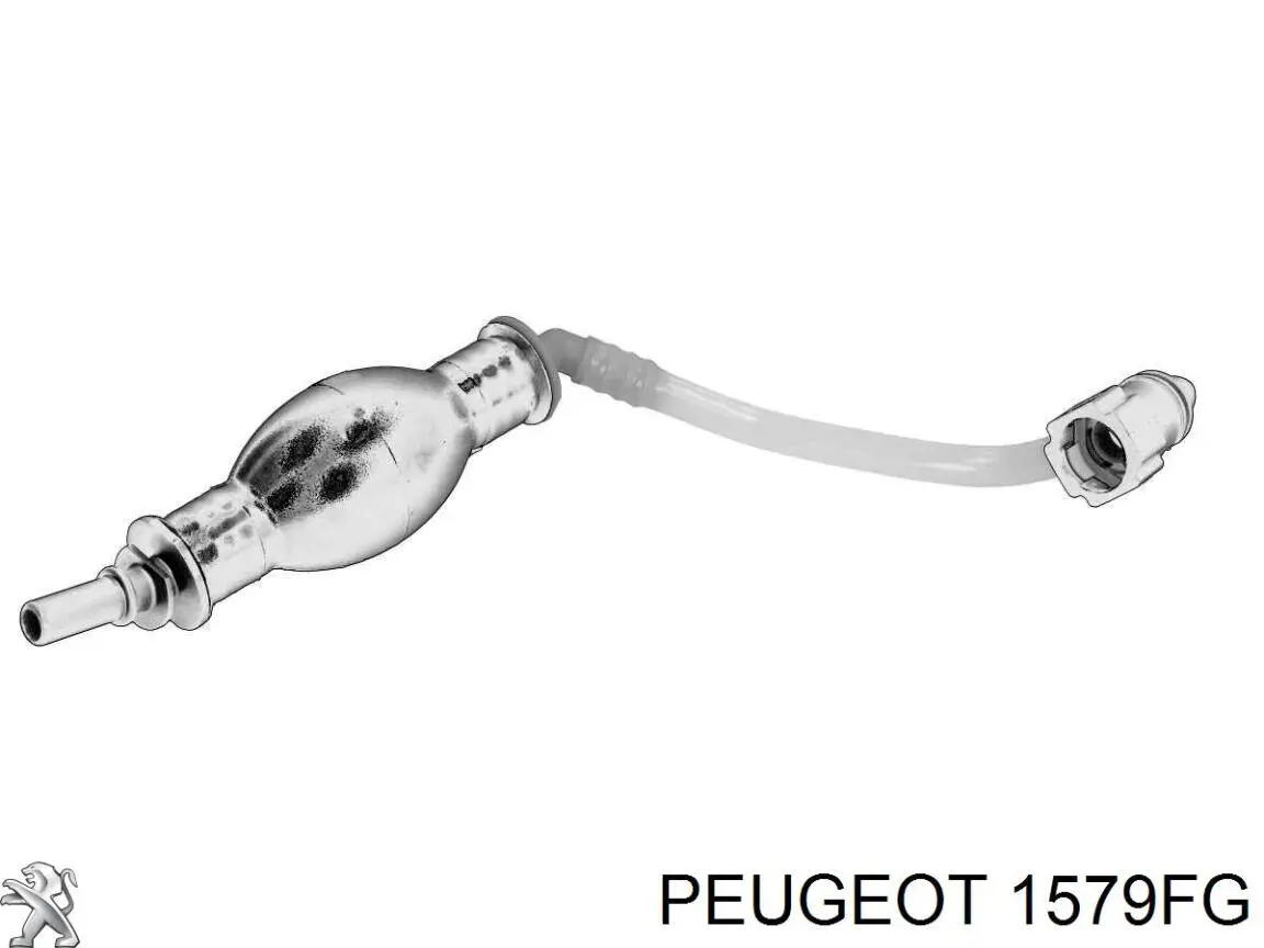 Tubo de combustible, del depósito al filtro de combustible Peugeot/Citroen 1579FG precio, desde 21,78 EUR