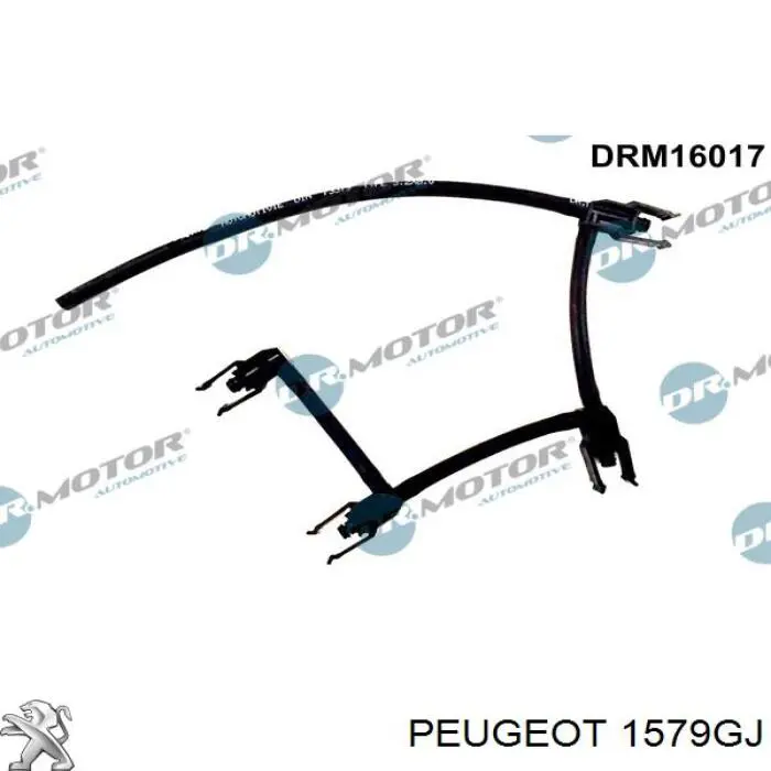 Tubo flexible, combustible de fuga para Peugeot Expert (224)