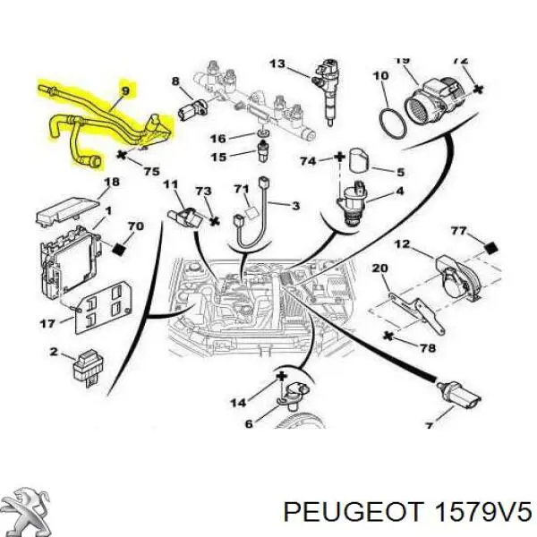 1579V5 Peugeot/Citroen tubo de retorno de combustible del filtro al tanque