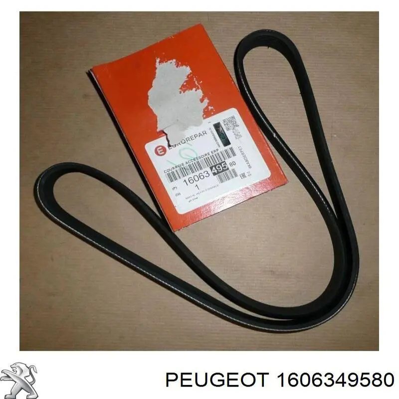 1606349580 Peugeot/Citroen correa distribucion