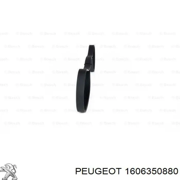 Correa trapezoidal Peugeot Partner 1 5F