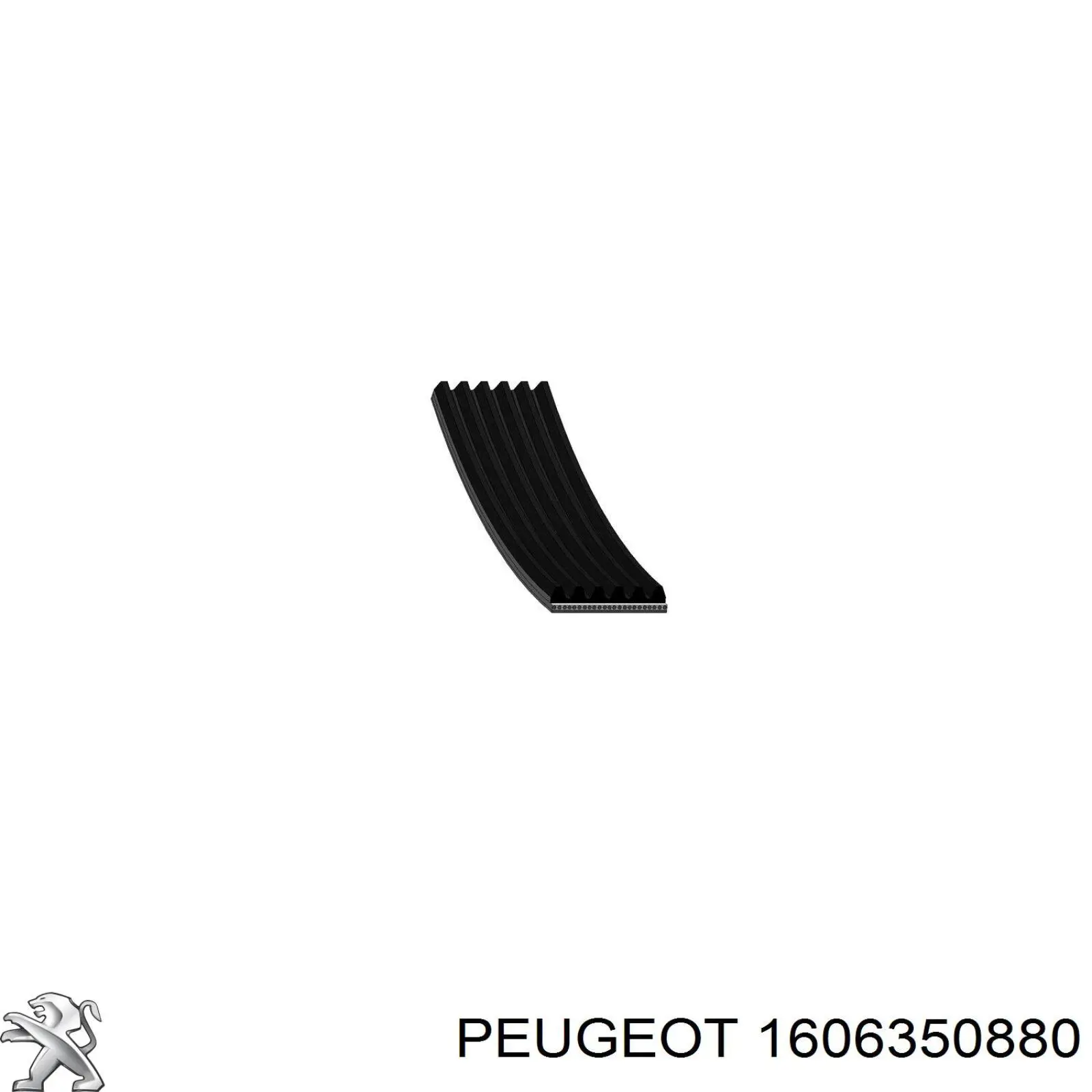 1606350880 Peugeot/Citroen correa trapezoidal