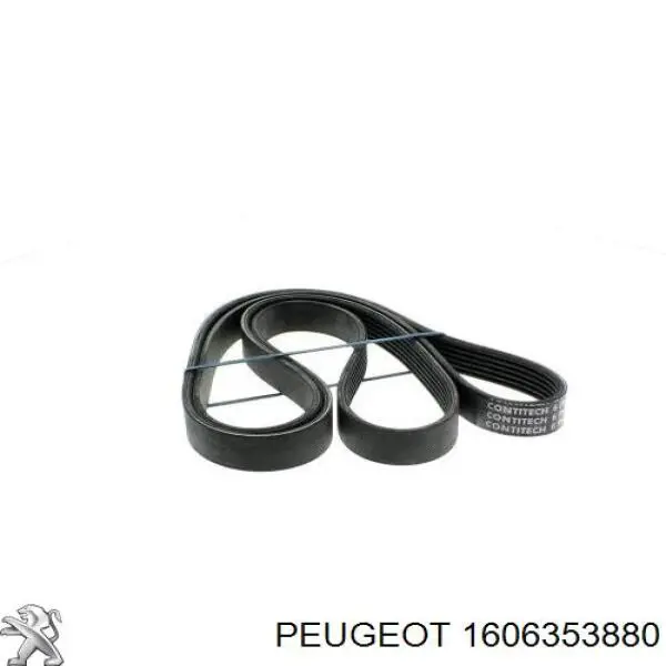 Comprar 1606353880 Peugeot/Citroen Correa trapezoidal
