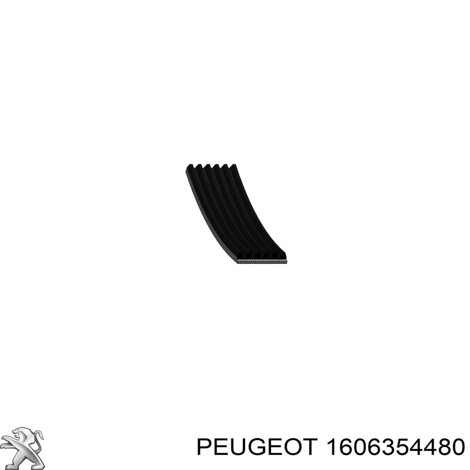 1606354480 Peugeot/Citroen correa trapezoidal