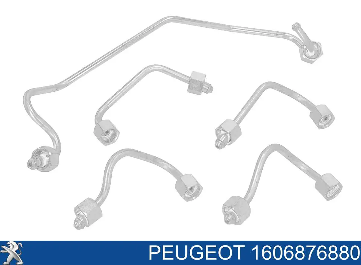 Juego de tuberías de combustible Peugeot/Citroen 1606876880 precio, desde 93,84 EUR