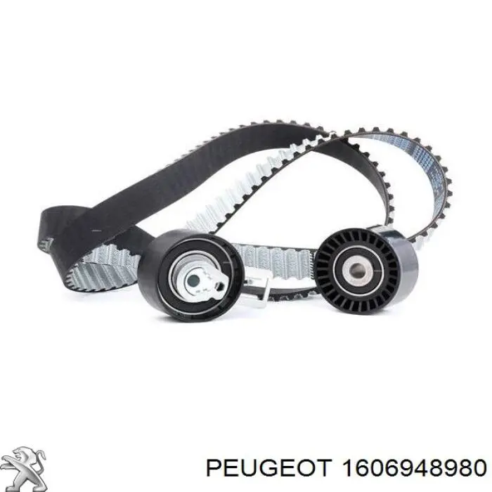 1606948980 Peugeot/Citroen rodillo, cadena de distribución