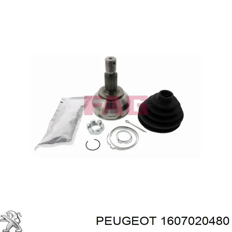 Fuelle transmisión delantero exterior GKN-Spidan 37039 precio, desde 23,33 EUR