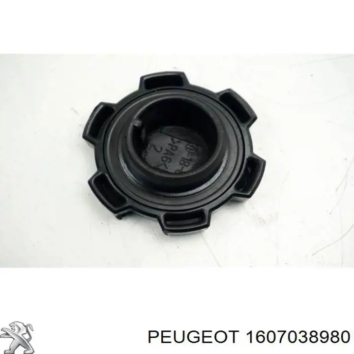 Tapon de aceite  Peugeot/Citroen 1607038980 precio, desde 29,33 EUR