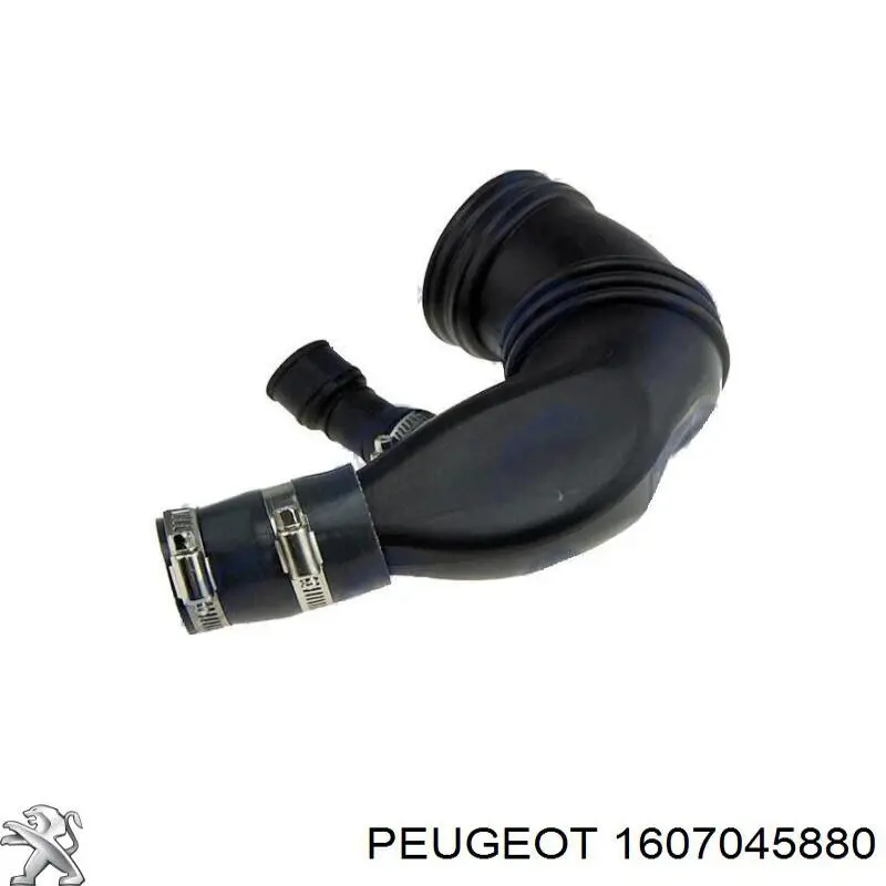 1607045880 Peugeot/Citroen manguito, alimentación de aire