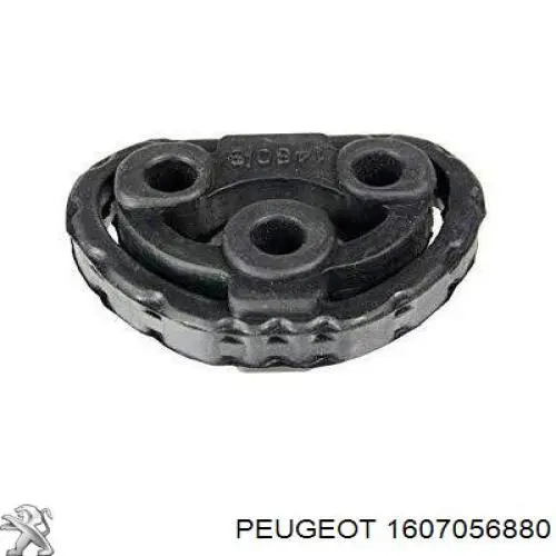 18307803341 BMW Abrazadera delantera del silenciador