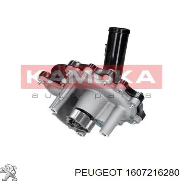 1607216280 Peugeot/Citroen bomba de agua, completo con caja