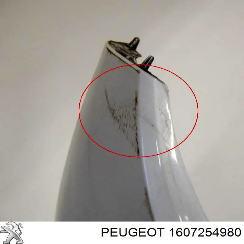 1607254980 Peugeot/Citroen Defensa trasero