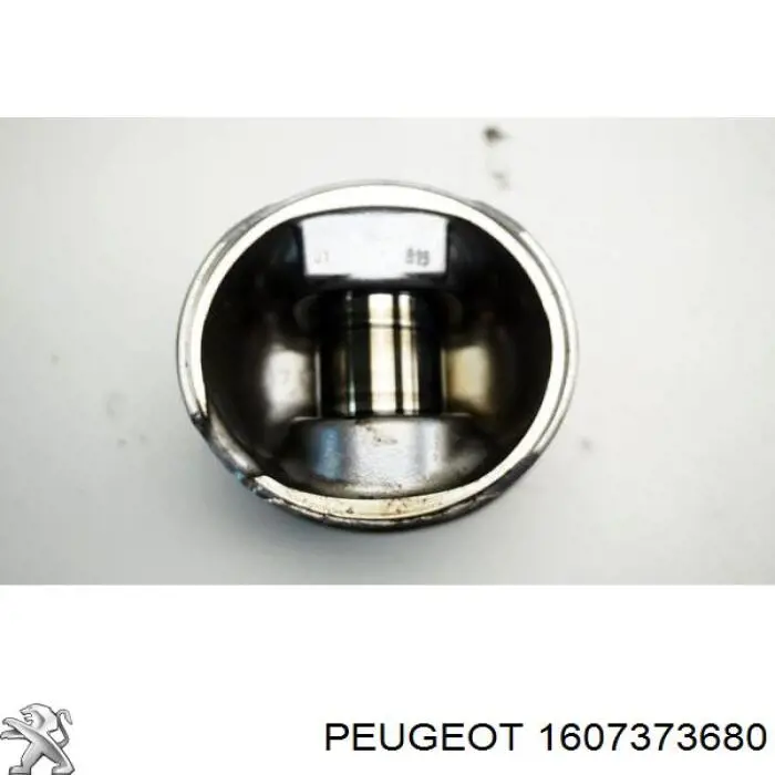 3104496000 Yenmak Pistón