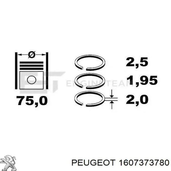 93476491 Peugeot/Citroen aros de pistón para 1 cilindro, std