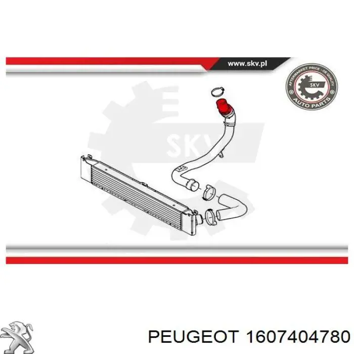 Comprar 1607404780 Peugeot/Citroen 