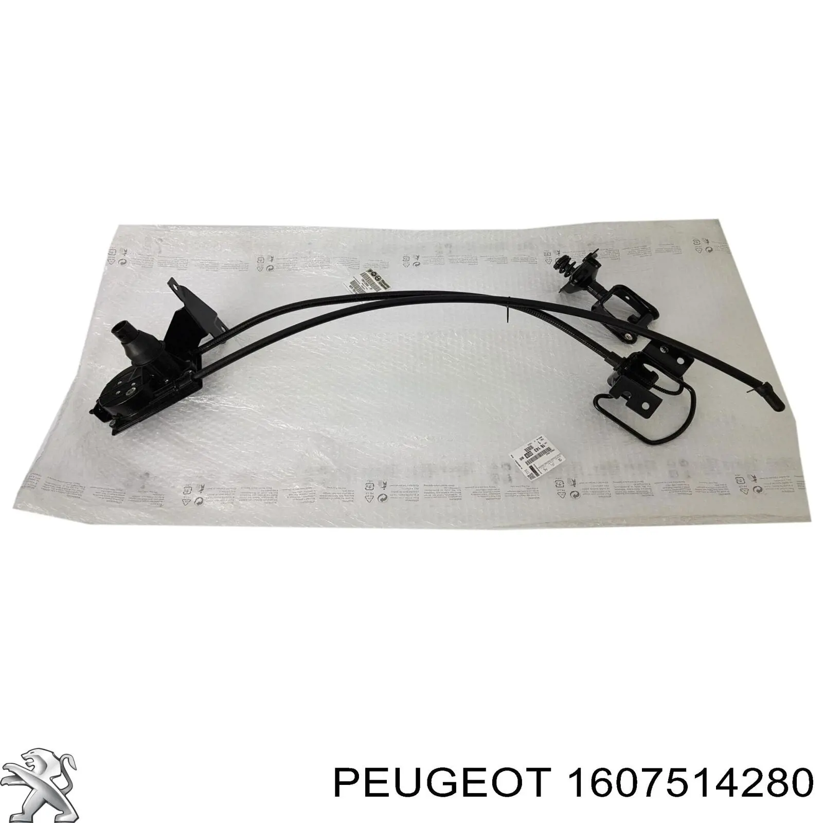 Cabrestante de rueda de repuesto Peugeot/Citroen 1607514280