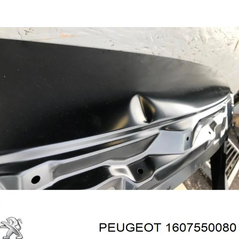 1607550080 Peugeot/Citroen