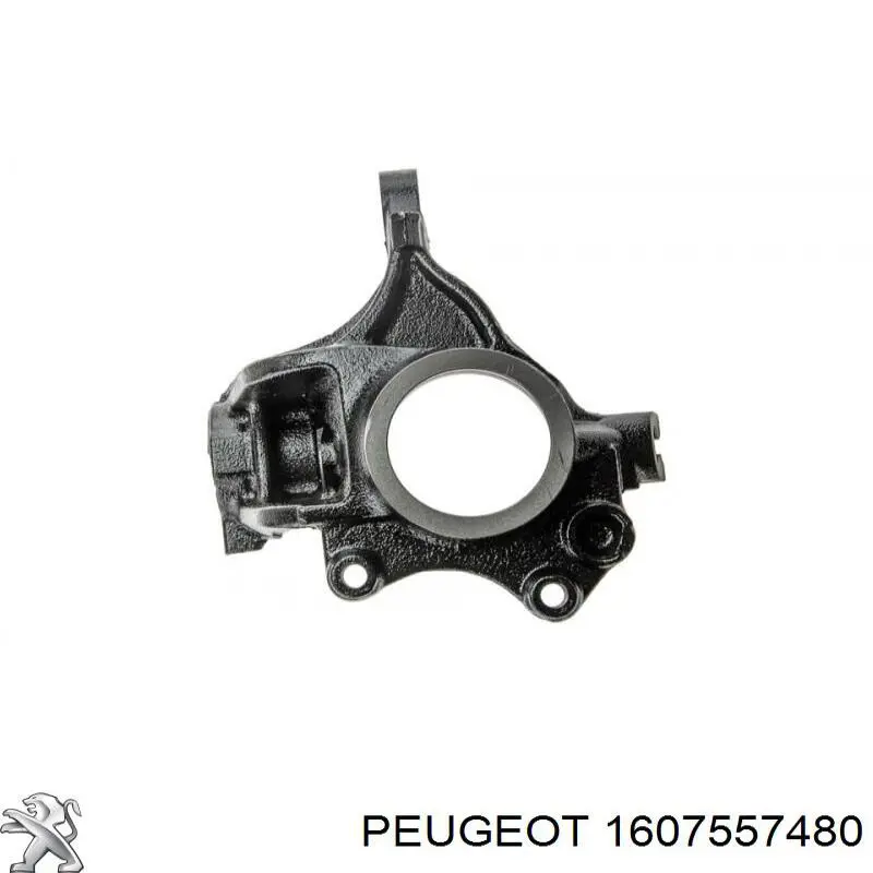 Mangueta delantera izquierda 1607557480 Peugeot/Citroen