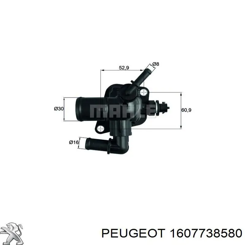 1607738580 Peugeot/Citroen termostato