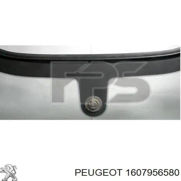Cristal parabrisas FPS GS5417D11S precio, desde 202,43 EUR