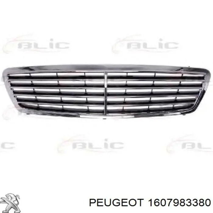 1607983380 Peugeot/Citroen moldura de parachoques delantero