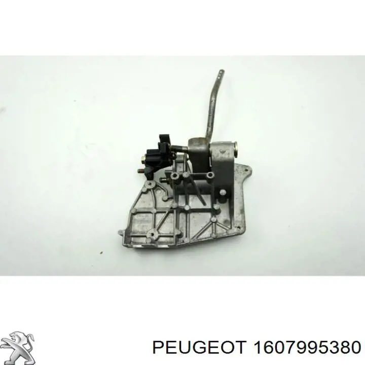 Cables de caja de cambios 1607995380 Peugeot/Citroen