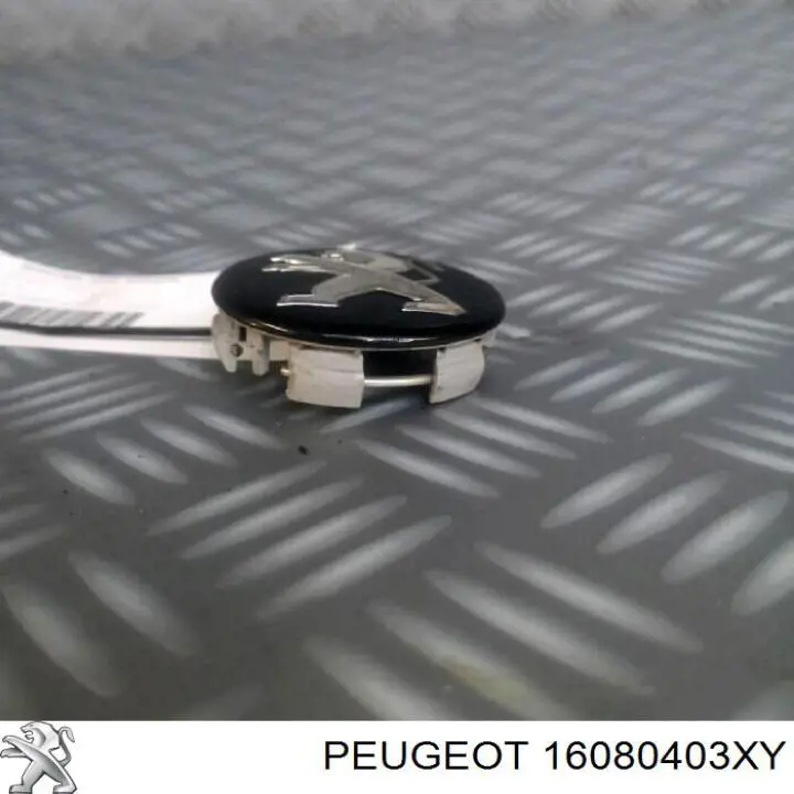  Peugeot/Citroen 16080403XY