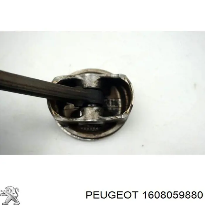 1608059880 Peugeot/Citroen 