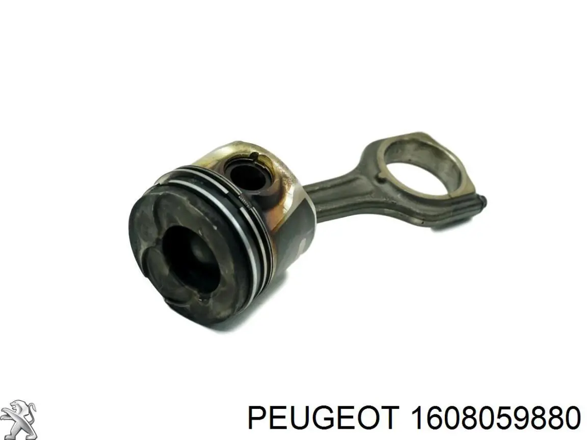  Peugeot/Citroen 1608059880