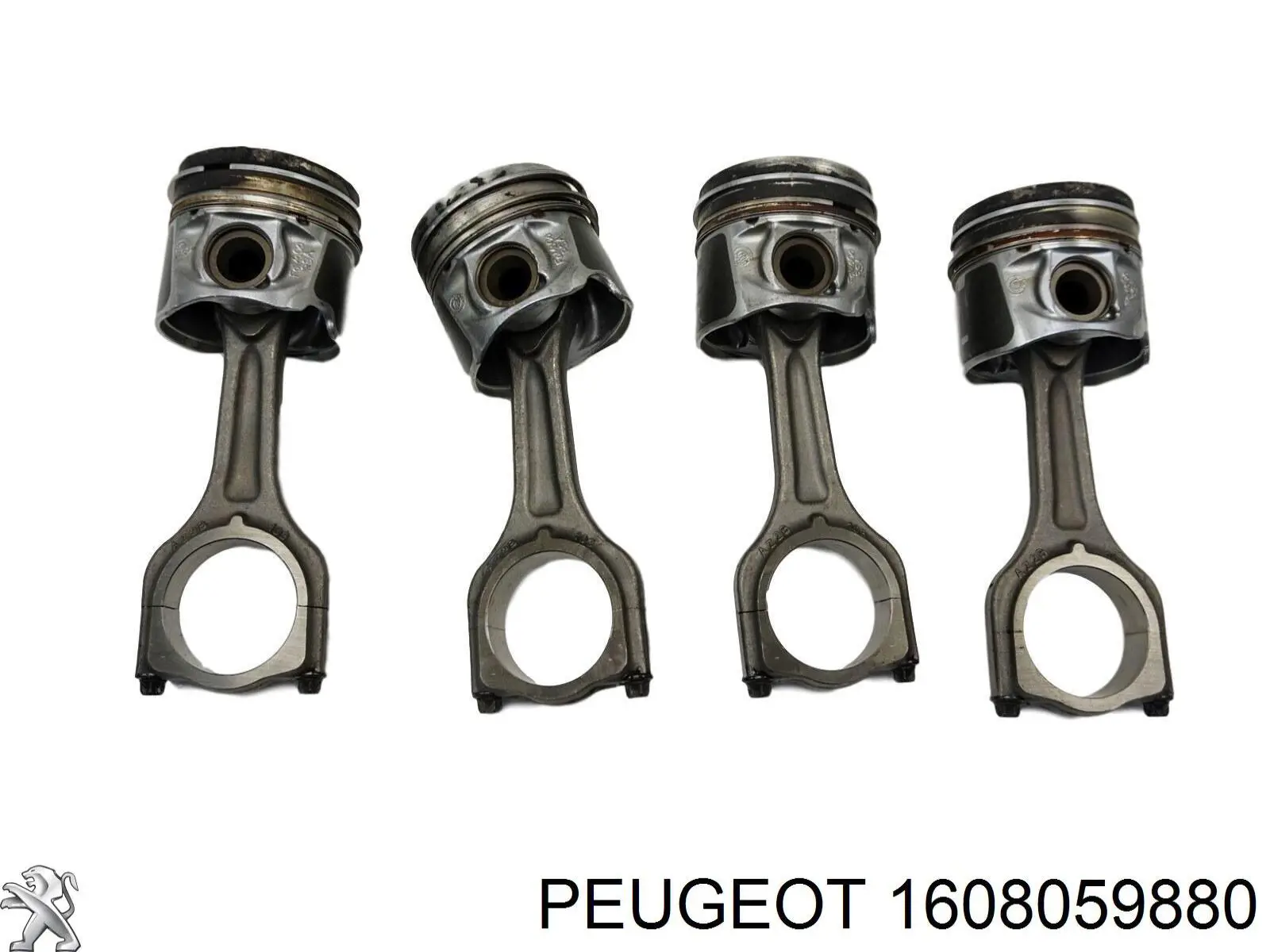 1608059880 Peugeot/Citroen 
