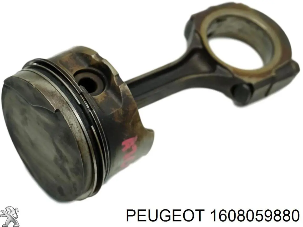  1608059880 Peugeot/Citroen