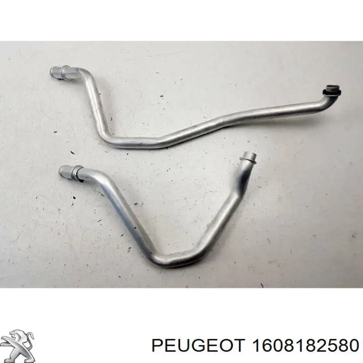 1608182580 Peugeot/Citroen 