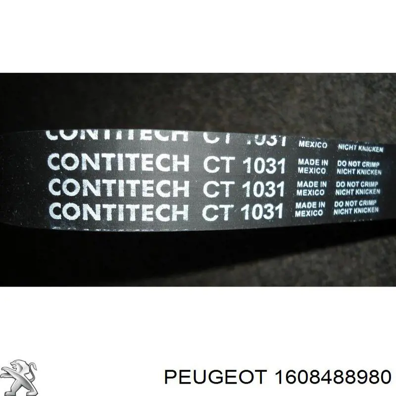 1608488980 Peugeot/Citroen correa distribucion