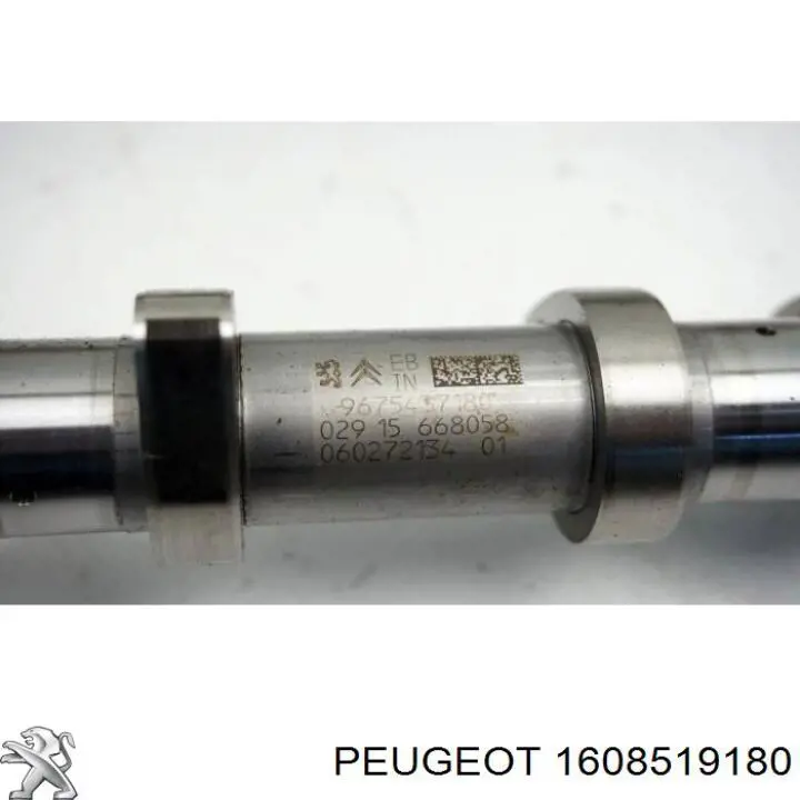 Cabeza de cilindro Peugeot/Citroen 1608519180 precio, desde 454,48 EUR