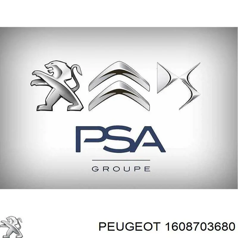 Kit de soportes/fijaciones del parachoques trasero Peugeot/Citroen 1608703680 precio, desde 77,95 EUR