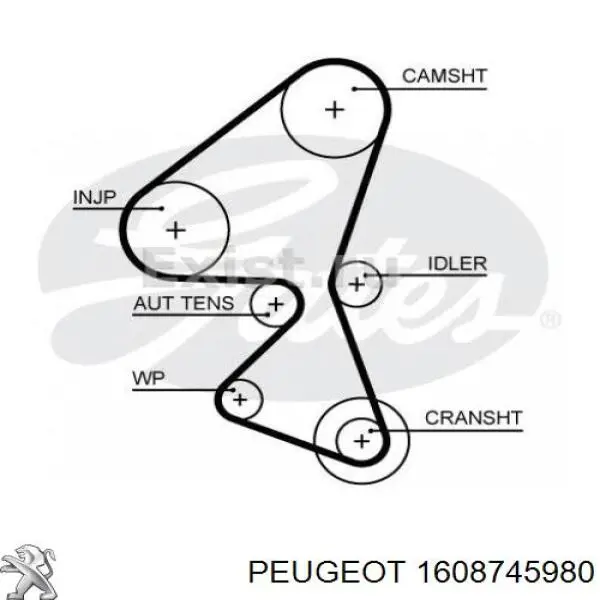Comprar 1608745980 Peugeot/Citroen Correa distribución