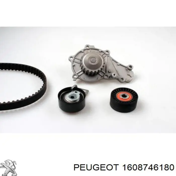Comprar 1608746180 Peugeot/Citroen Correa distribución