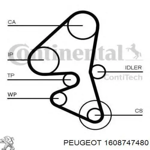 1608747480 Peugeot/Citroen kit de correa de distribución