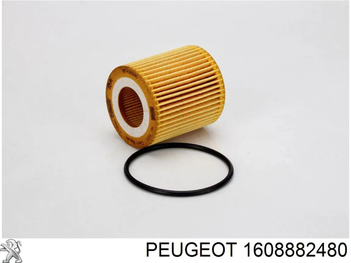 1608882480 Peugeot/Citroen 