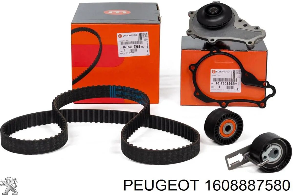 1608887580 Peugeot/Citroen Correa dentada