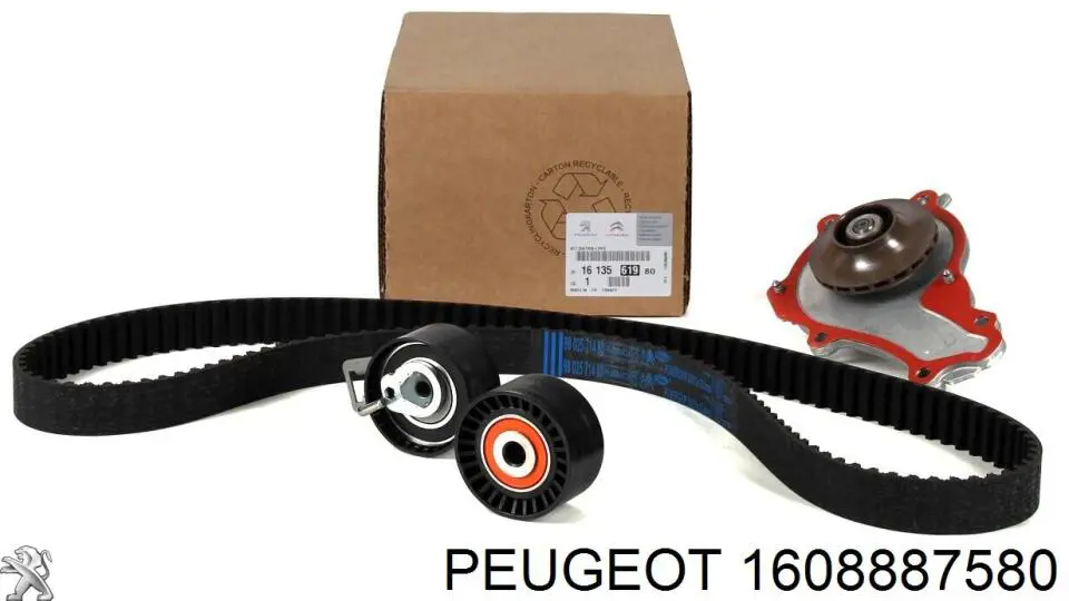 Correa de distribución Peugeot/Citroen 1608887580 precio, desde 55,98 EUR