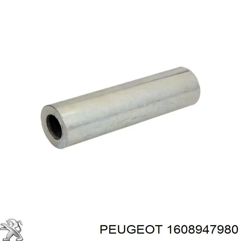 5102EY Peugeot/Citroen Ballestas de suspensión trasera