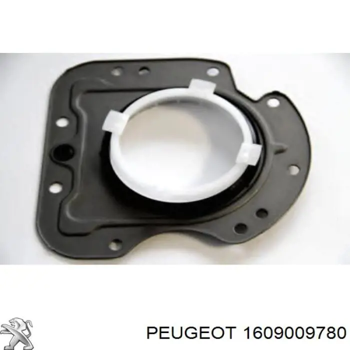 Retén del cigüeñal Peugeot/Citroen 1609009780 precio, desde 29,39 EUR