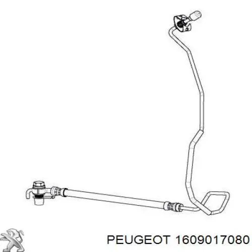 95525427 Peugeot/Citroen latiguillo de freno trasero