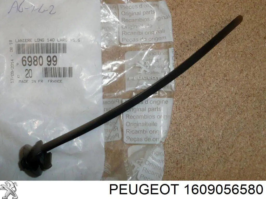 1609056580 Peugeot/Citroen Filtro antipolen