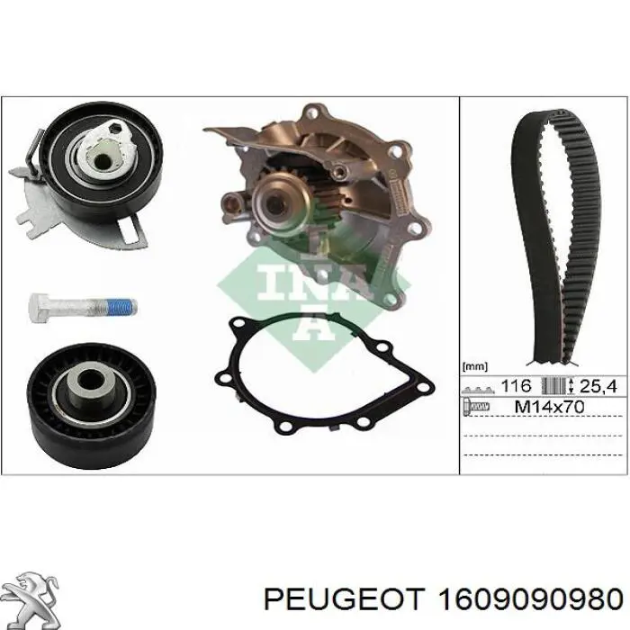 1609090980 Peugeot/Citroen rodillo, cadena de distribución