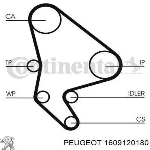 Comprar 1609120180 Peugeot/Citroen Kit de correa de distribución